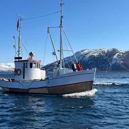 Maribell Sjobuer As Lägenhet Tromsø Exteriör bild